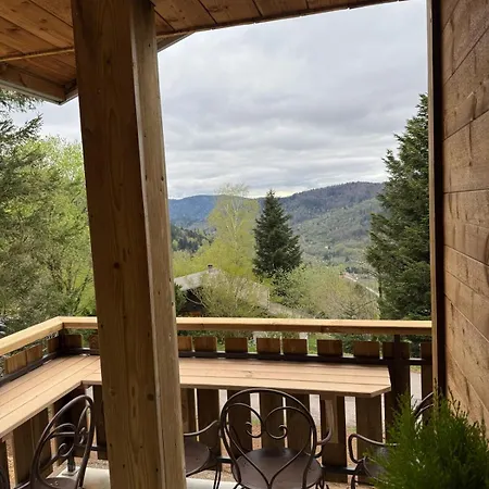 Montagnard Chalet Bussang