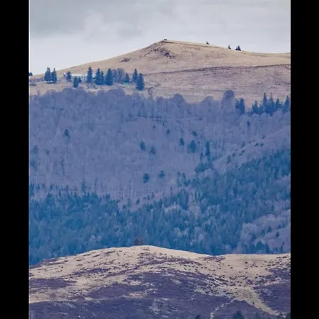 Montagnard